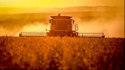 Produtividade da soja nesta safra pode ser 17% maior, aponta consultoria