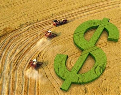 Plano Safra da agricultura familiar ser