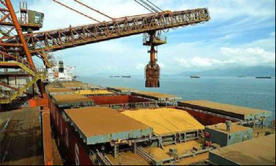 China comprou 67% da soja brasileira nos cinco primeiros meses de 2022