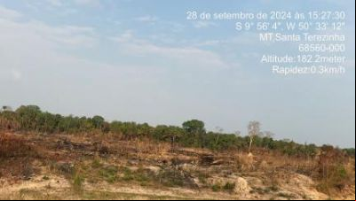 Posseiros desmataram mais de 6 mil ha de 