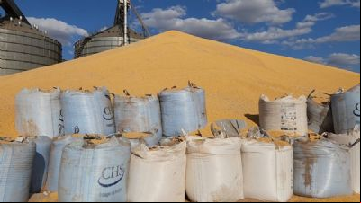 Agricultores preocupados com falta de armaz