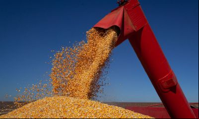 Embarques de milho superam 100% em volume e 150% em receita no acumulado parcial de 2023