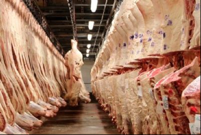 Carne bovina: exporta
