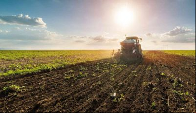 Safra 2023/24: custo para plantar soja em MT est
