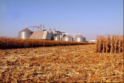 Venda de milho em Mato Grosso cresce 5,9% pressionada por falta de espa