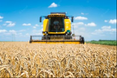 Soja: colheita em Mato Grosso chega a 60%