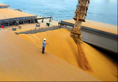 Volume de soja exportada por Mato Grosso fica 7,9% abaixo da m