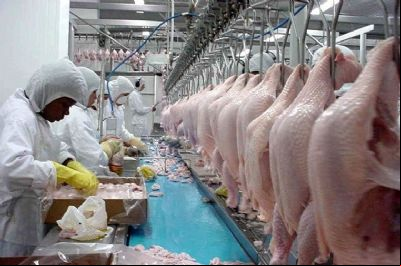 Frango: governo diz que apresentar