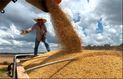 Custo da soja em Mato Grosso 