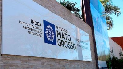 Indea cumpre determina