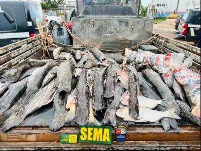 Sema-MT apreende 450 kg de pescado ilegal na primeira semana ap