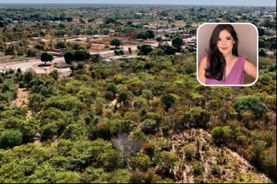 Bosque criado por TAC homenageia defensora p