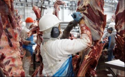 Alimentos e biocombust