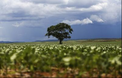 Seca de um lado, excesso de chuvas de outro levaram 12 Estados a adotar novo calend