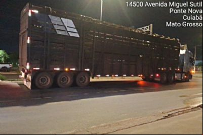 Carreta que atropelou mulher trafegava irregularmente em avenida