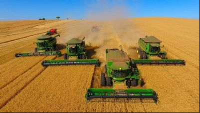 Colheita de soja 22/23 atinge 17% da 