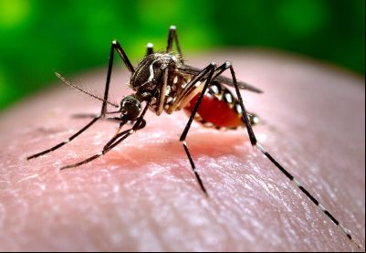 Dengue em Confresa: em cinco meses, 2024 j