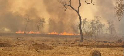 ​Morador da zona rural de Confresa flagra pessoas colocando fogo em propriedades e fugindo