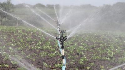 Pesquisadores da UFMT de Sinop iniciam projeto para auxiliar pequenos produtores na irriga