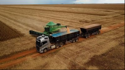 Colheita da soja em Mato Grosso avan