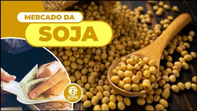 Brasil tem melhor movimenta