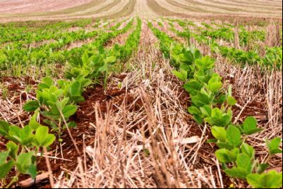 Mato Grosso deve ter crescimento de 2% na 